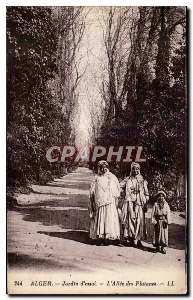 ALGER — Versuchsgarten — Die Allee der Platane — LL - Vorderseite
