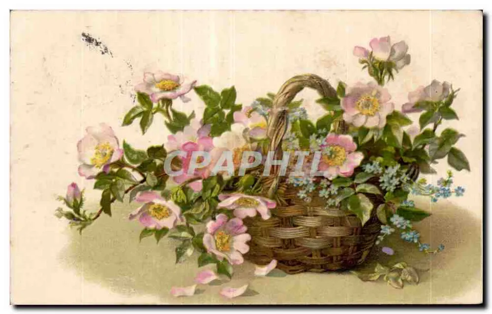 Arranjo de rosas e flores azuis — em um cesto entrelaçado — editor não identificado - Frente