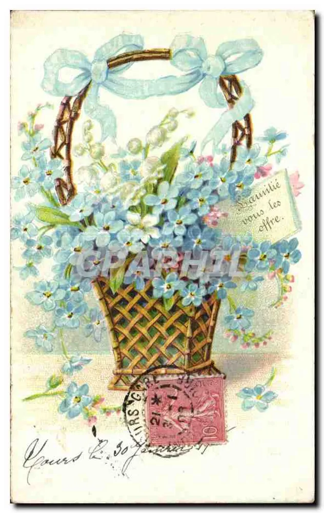Arranjo de flores azuis em um cesto — editor não visível - Frente