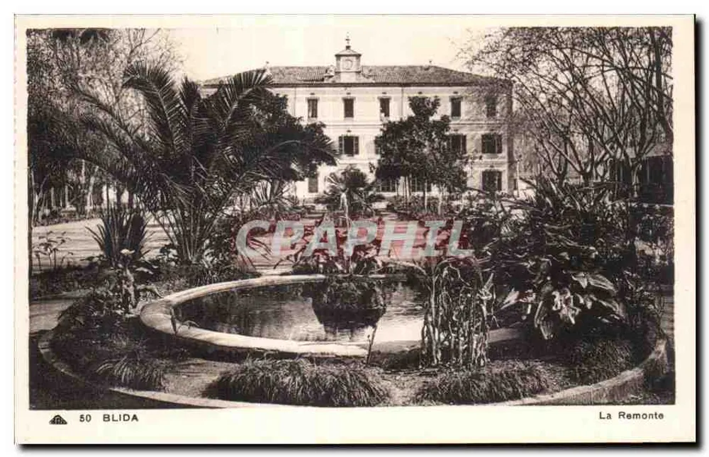 Blida — A Subida — n° de série 50 - Frente