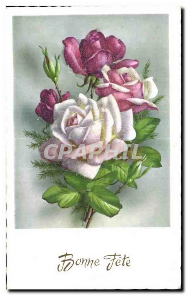 Bouquet aus Rosen — violette und weiße Rosen — - Vorderseite