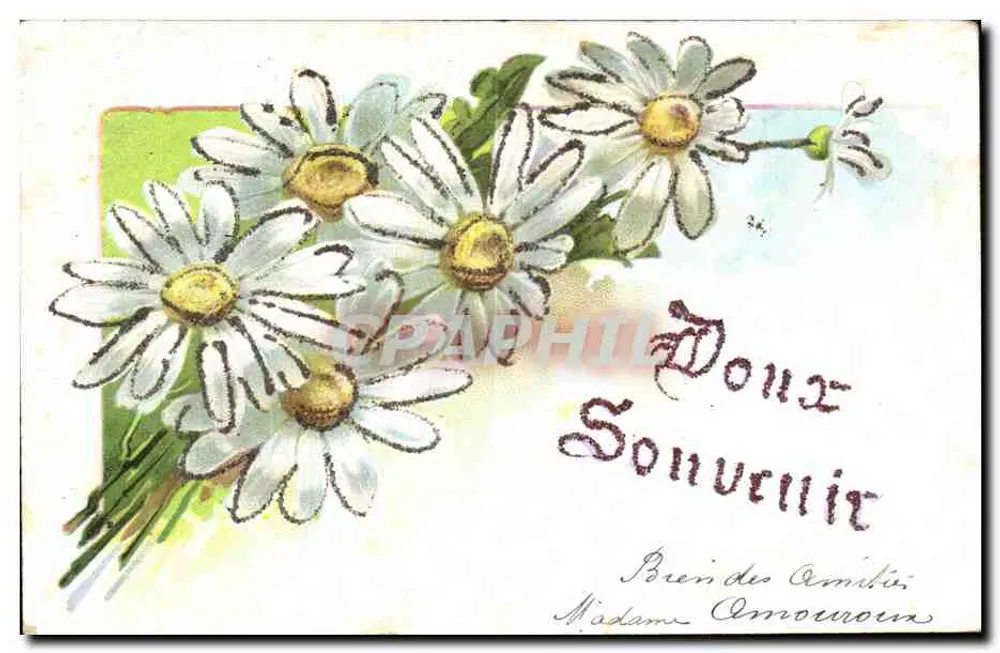Buquê de margaridas — Bom souvenir — Graphi - Frente