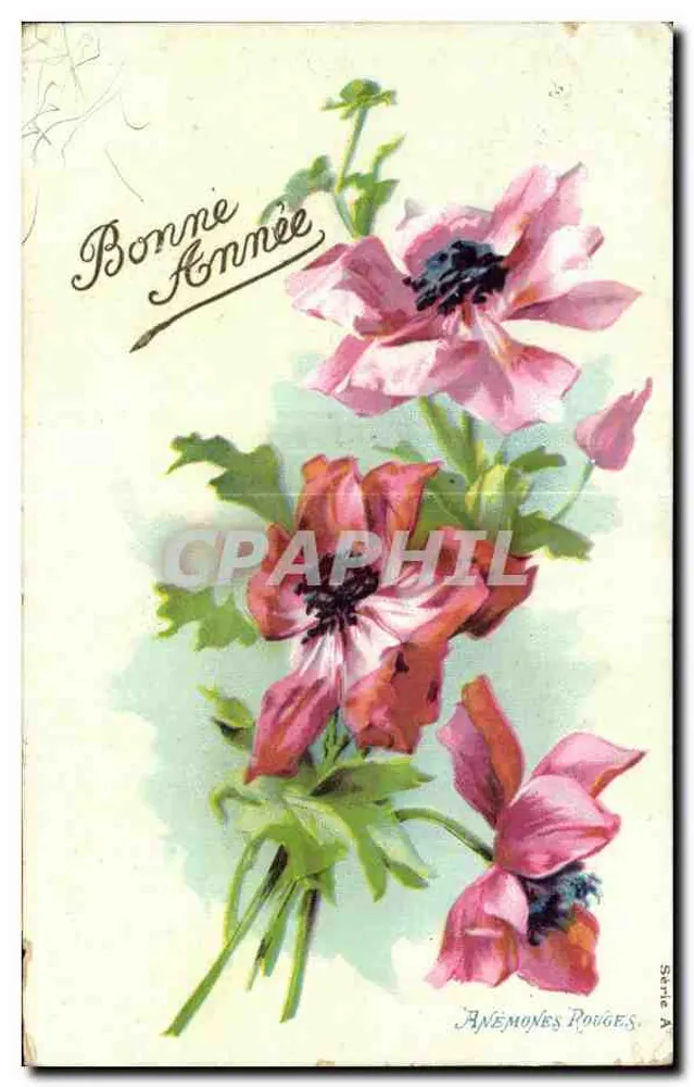 Rote Anemonen — Frohe Neujahr — Serie A - Vorderseite