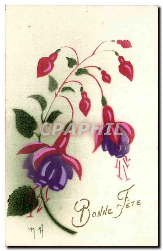 Fuchsiablüten — Frohe Geburtstagskarte - Vorderseite