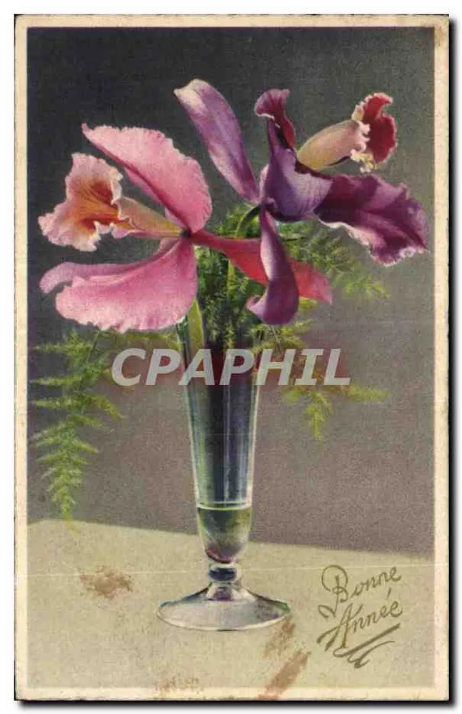 Orchideen in einer Vase — Frohe Neujahr - Vorderseite