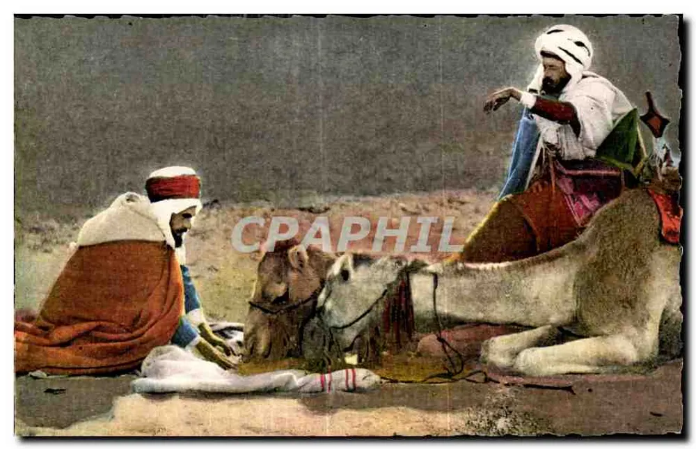 Zwei Araber mit Kamelen — Wüstenlandschaft - Vorderseite