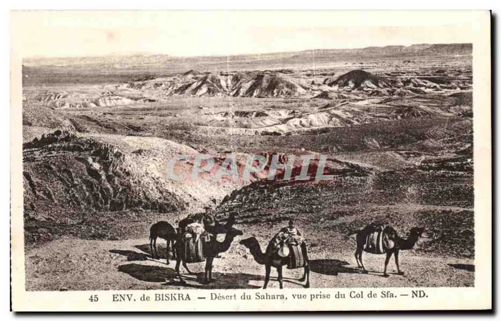ENV. VON BISKRA — Wüste Sahara, Aussicht vom Sfa-Pass — ND. - Vorderseite