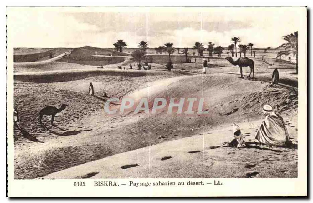 Biskra — Wüstenlandschaft Sabarien — LL. — n° 6195 - Vorderseite