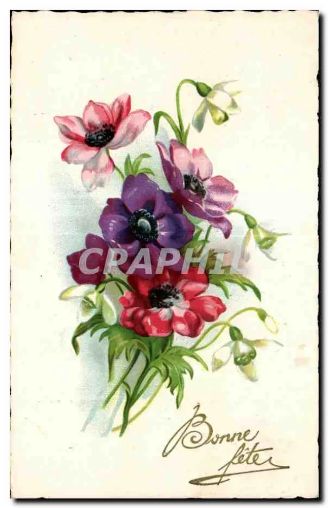Blütenstrauß — rosa, violette und rote Anemone — Verlag nicht sichtbar - Vorderseite