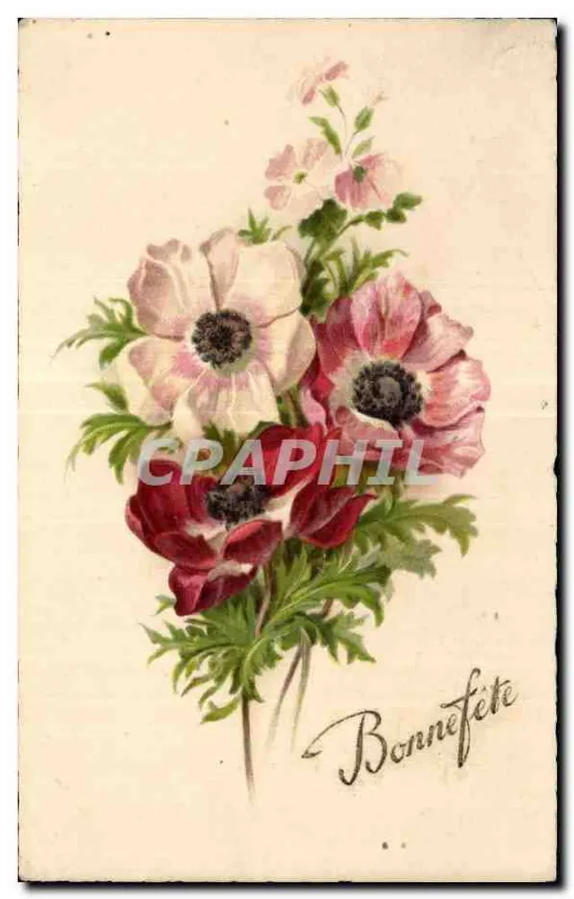 Blumenstrauß — Anemonen — Bonnefête - Vorderseite