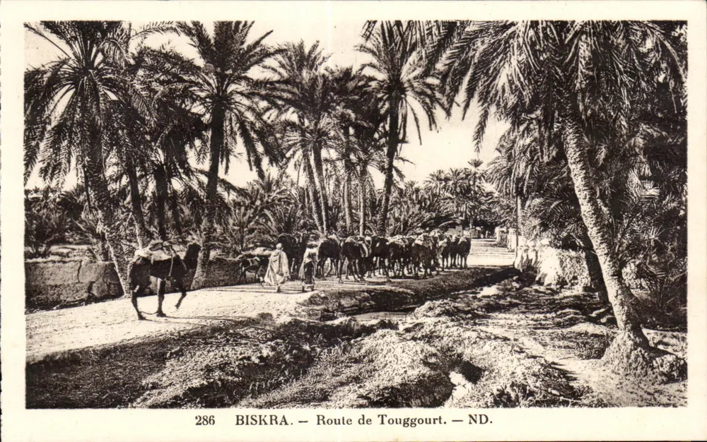 Biskra — Straße nach Touggourt — ND. — Verlag: Lavy et Reuchacer, Paris - Vorderseite