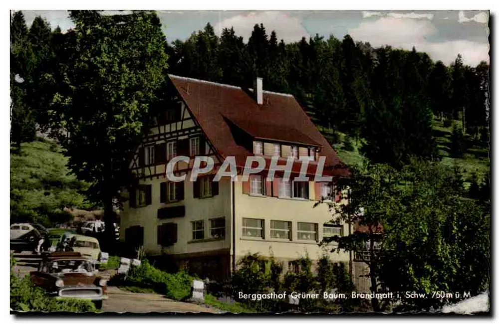 Berggasthof Grüner Baum — Brandmatt i. Schw., 750m ü. M. — Aufn. und Verlag Panner - Vorderseite