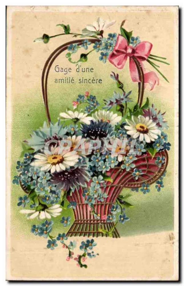 Bouquet de fleurs — panier décoré d'un ruban rose — éditeur non visible - Frente