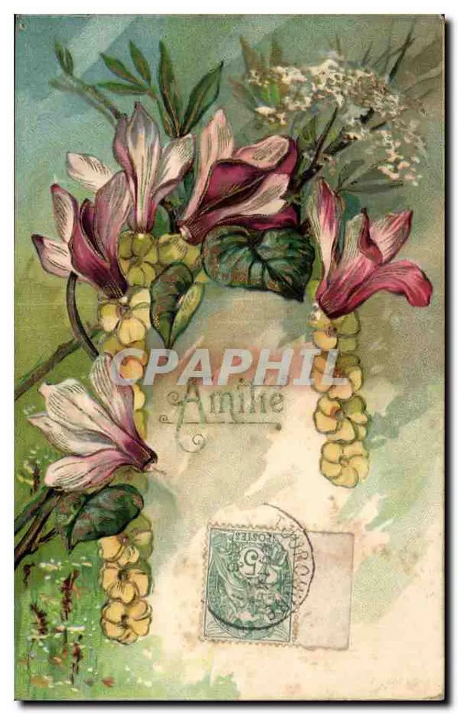 Flores de primavera — magnólias e clemátias — editor Amine, número de série não visível - Frente