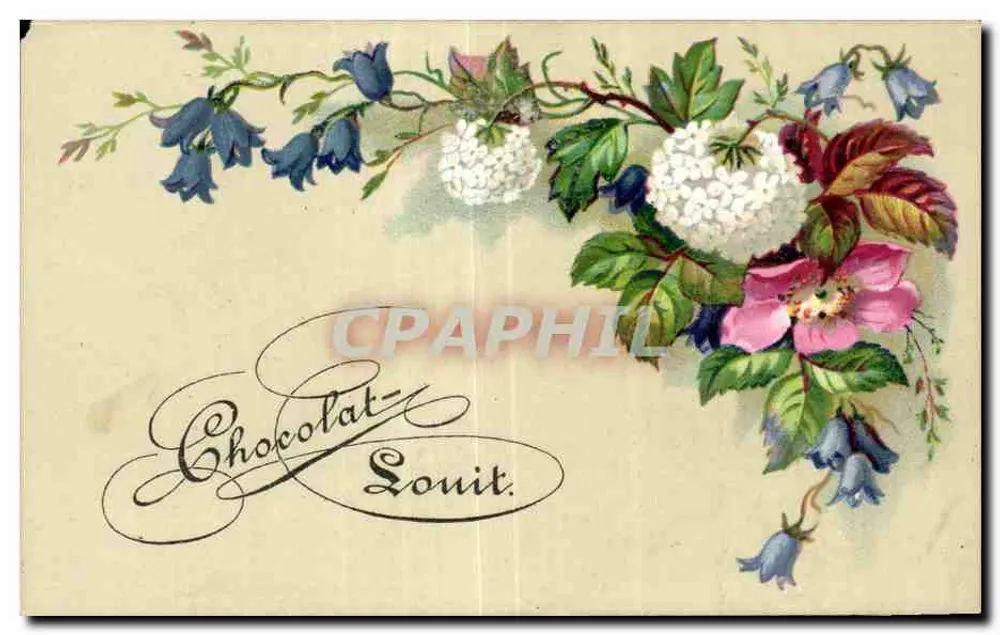 Blüten — floraler Dekor — Chocolat-Louit - Vorderseite
