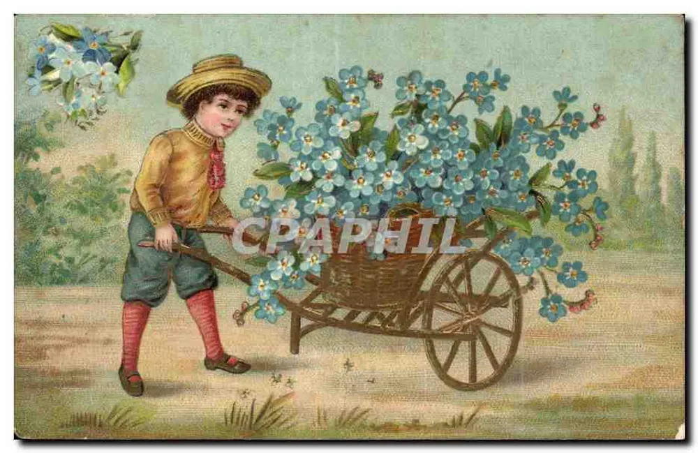 Enfant avec charrette de fleurs — forêt de pensées bleues — éditeur non visible - Vorderseite