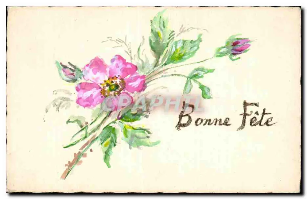 Rose blüte — Grußkarte - Vorderseite