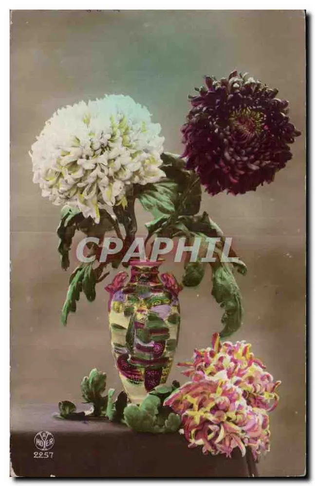 Críptameros — em um vaso decorativo — editor H. & J. HOYER, n° 2257 - Frente