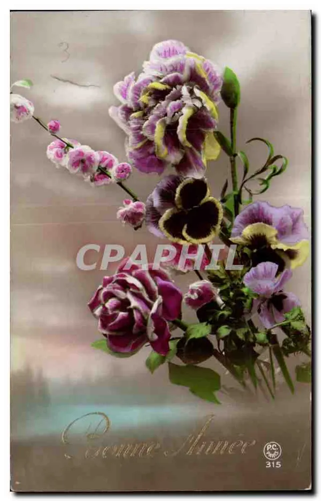 Blumenstrauß — Frohe Neujahr — PC 315 - Vorderseite
