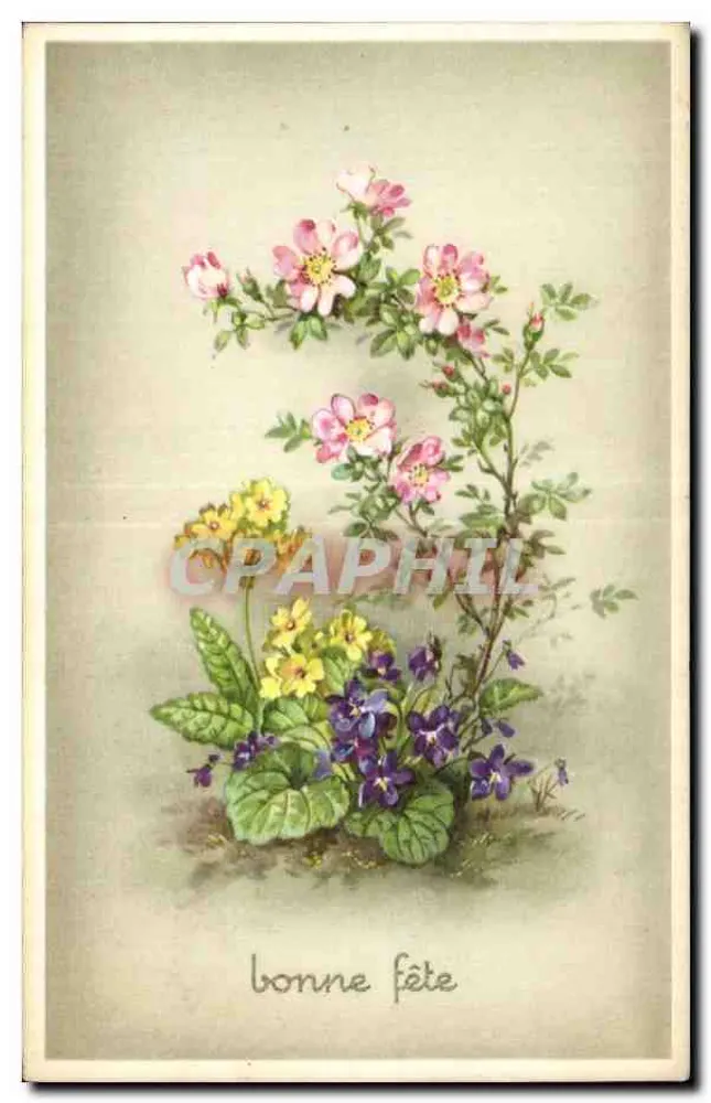 Frühlingsblumen — Frohe Geburtstagskarte - Vorderseite