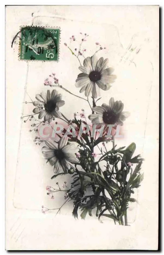 Bukiet margotek i gypsophily — wydawca nieznany - Awers