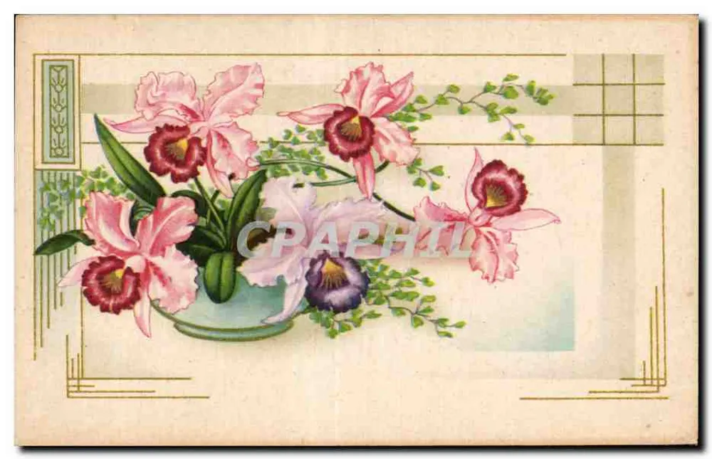 Bouquet van orchideeën — geïllustreerde editie - Voorkant