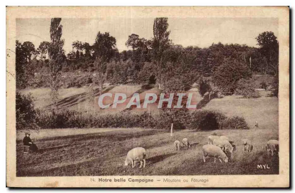 Unsere schöne Landschaft — Schafe auf der Weide — MYL - Vorderseite