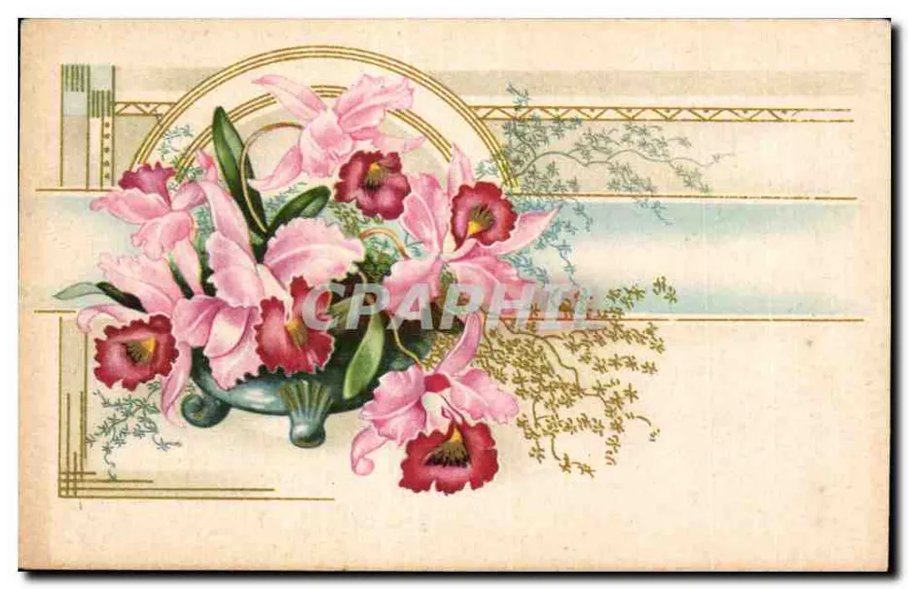 Różowe orchidee — bukiet w słoiku — wydawca Graphique - Awers