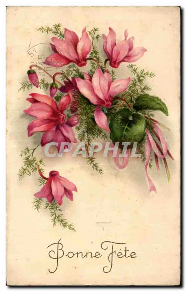 Rosa Blumen — Magnolien und Farne — Frohe Geburtstagskarte - Vorderseite