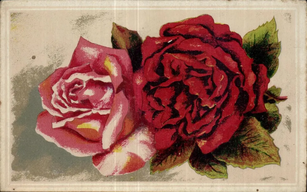 Duas rosas — uma rosa vermelha e uma rosa rosa — Studio Raïber, Paris 9e - Frente