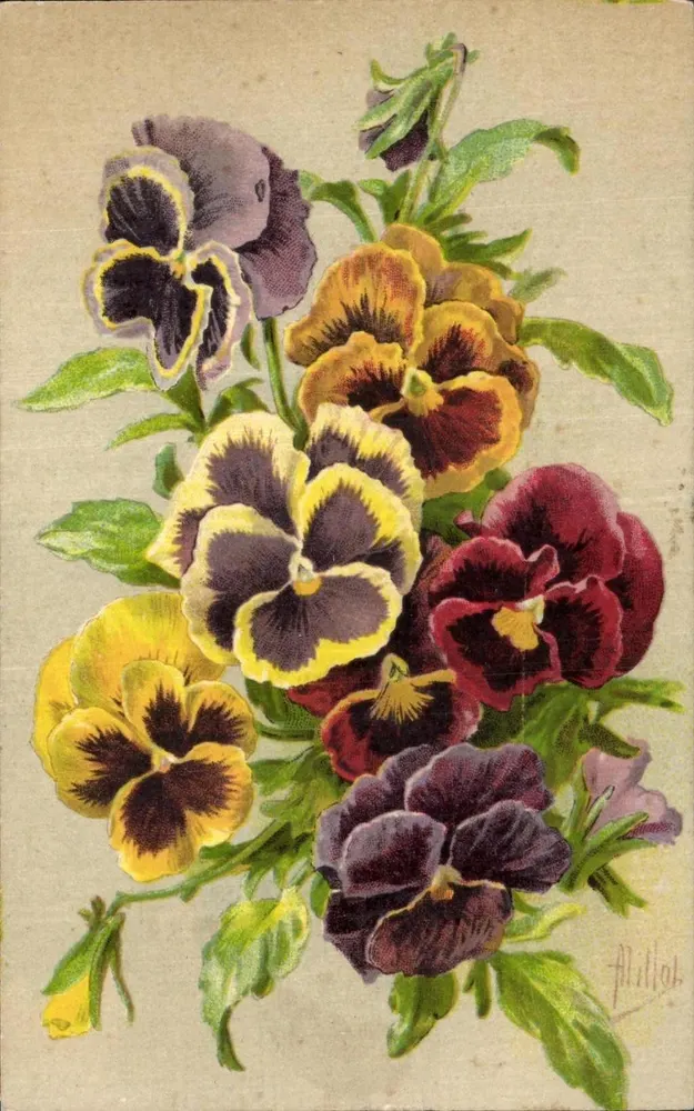 Pensões — Flores coloridas — Alillot, IMP. F. C. BOURGEOIS PARIS, n° 310 - Frente