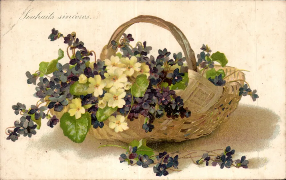 Arranjo de violetas e primaveras em um cesto — Desejos sinceros — editor não visível - Frente