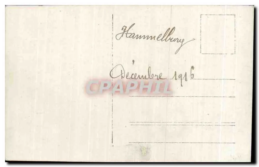 Cinque uomini in uniforme — studio fotografico — n° 4703 - Verso