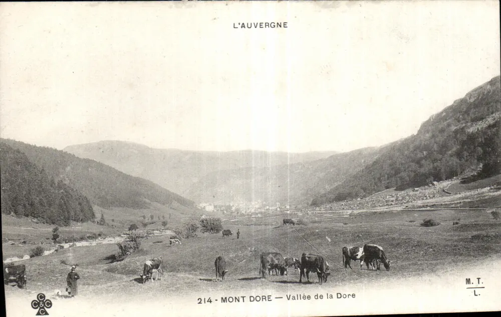 Mont Dore — Dal van de Dore — L'Auvergne — M.T. — n°214 - Voorkant