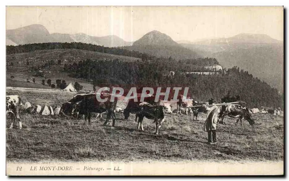 Le Mont-Dore — Weide — LL. - Vorderseite
