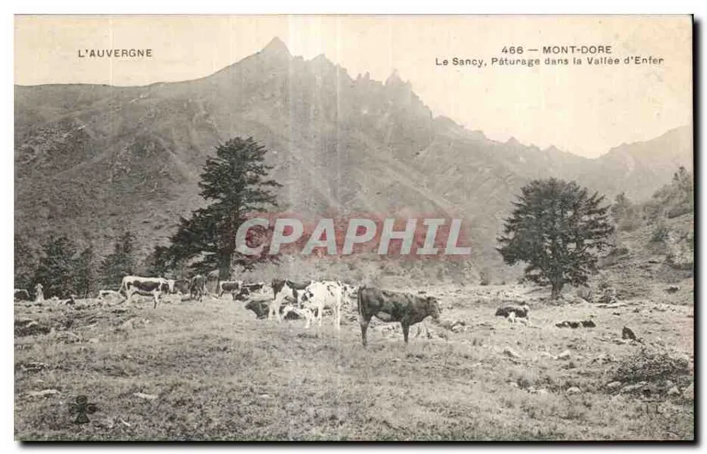 Le Sancy — Weide in der Hölle-Tal — Mont-Dore - Vorderseite