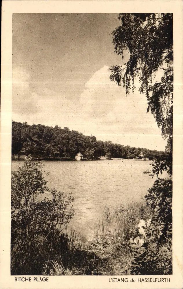 L'ÉTANG de HASS ELFURTH — Bitche Plage — Imprensa Art Héliot (Moselle) - Frente