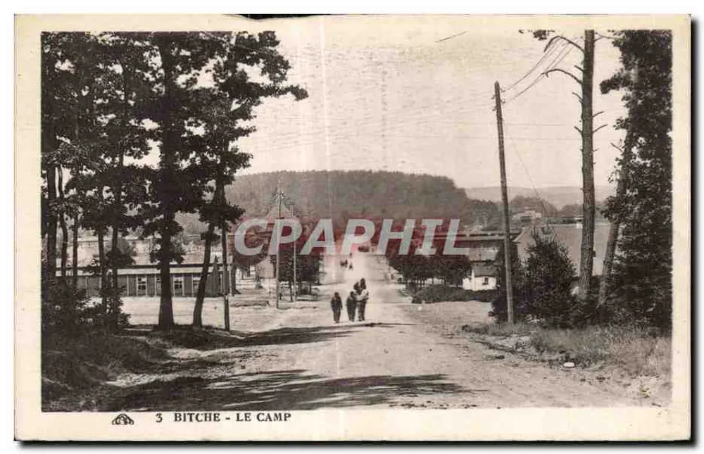 Bitche - Le Camp — vue de la route bordée d'arbres avec trois personnes marchant — éditeur imprimeur non identifié, n° 3 - Frente