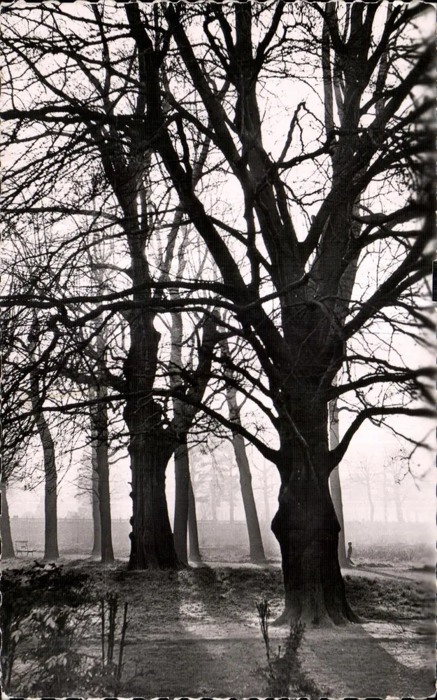 O Jardim Botânico — La Madeleine (Norte) — Foto H. Solier - Frente