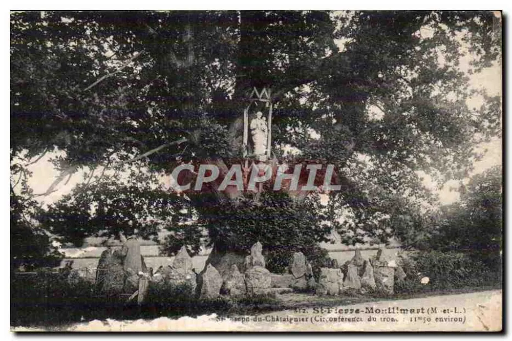 St-Fierre-Montlimart (M-et-L.) — Estátua da Virgem ao pé de uma árvore — editor não identificado, n° 17 - Frente