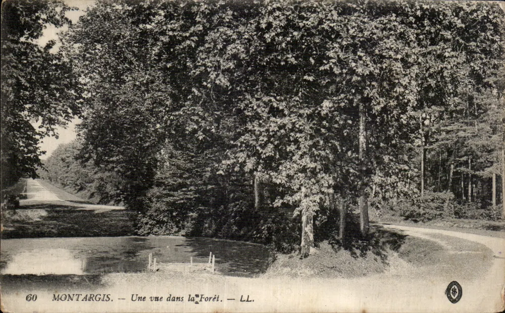 Montargis — Uma vista na Floresta — LL. n°60 - Frente