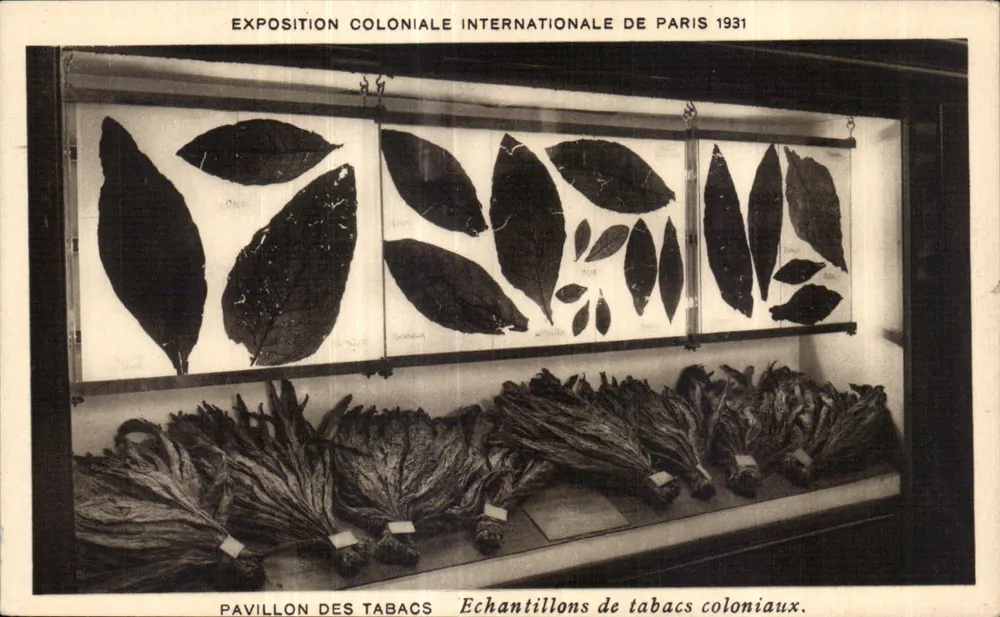Internationale Kolonialausstellung Paris 1931 — Tabakpavillon — Tabaksproben - Vorderseite