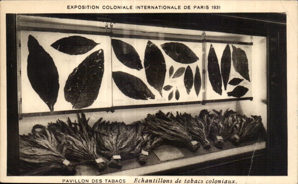 Internationale Kolonialausstellung Paris 1931 — Tabakpavillon — Tabaksproben - Vorderseite