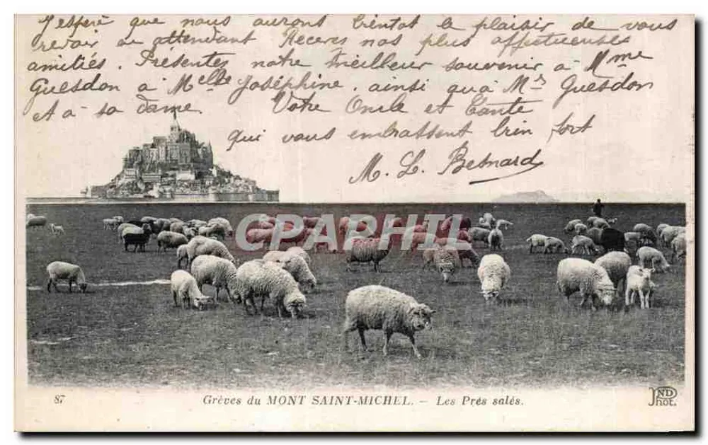 Grèves des Mont Saint-Michel — Die Salzweiden — JND.ROL. n°87 - Vorderseite
