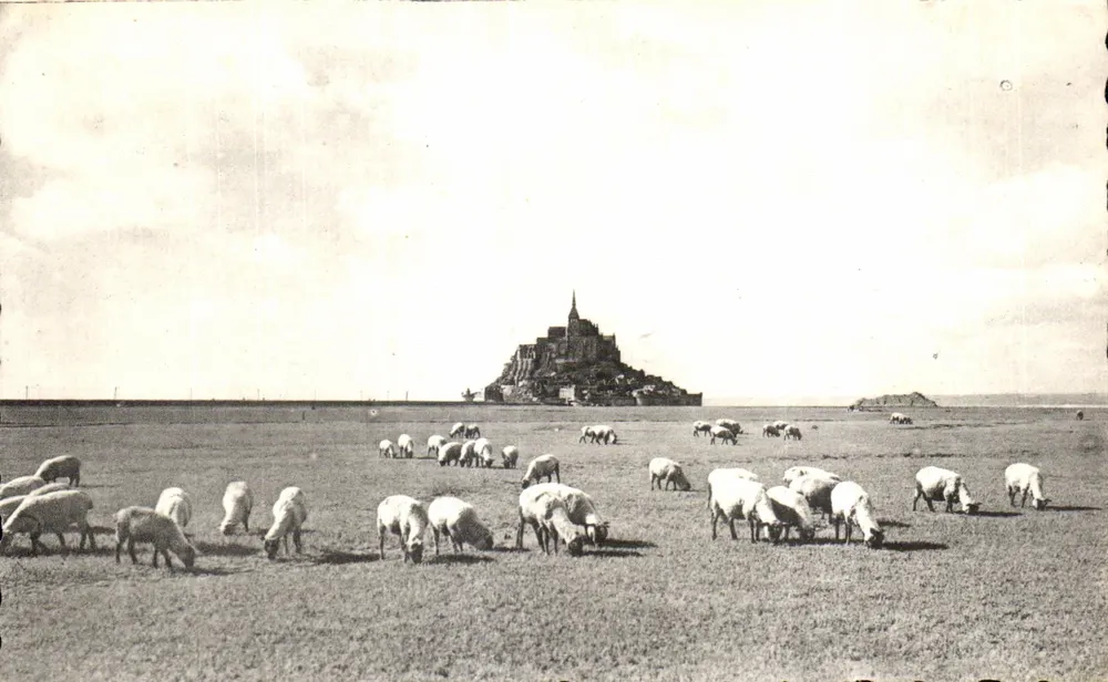 Mont Saint-Michel — Salzige Wiesen an den Stränden — Cle des Arts Photographiques, 44 rue Léteiler, Paris - Vorderseite