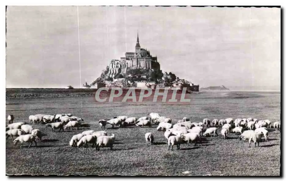 Mont Saint-Michel — Die berühmten « Prés Salés » — Photo Hizet-Pontlarson 134 - Vorderseite
