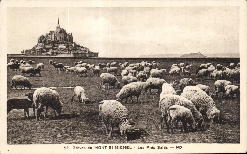 Grèves des Mont St-Michel — Les Prés Salés — ND - Vorderseite