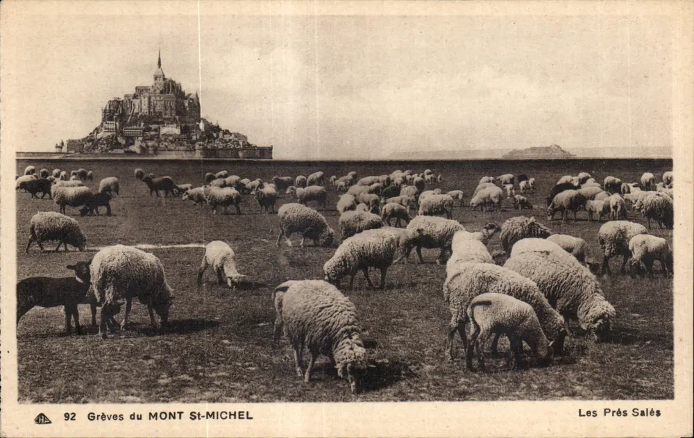 I Prés Salés — Grèves del Mont St-Michel — Editore : - Recto