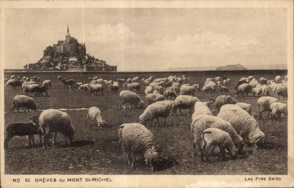 Les Prés Salés — Grèves du Mont Saint-Michel — ND 92 - Recto