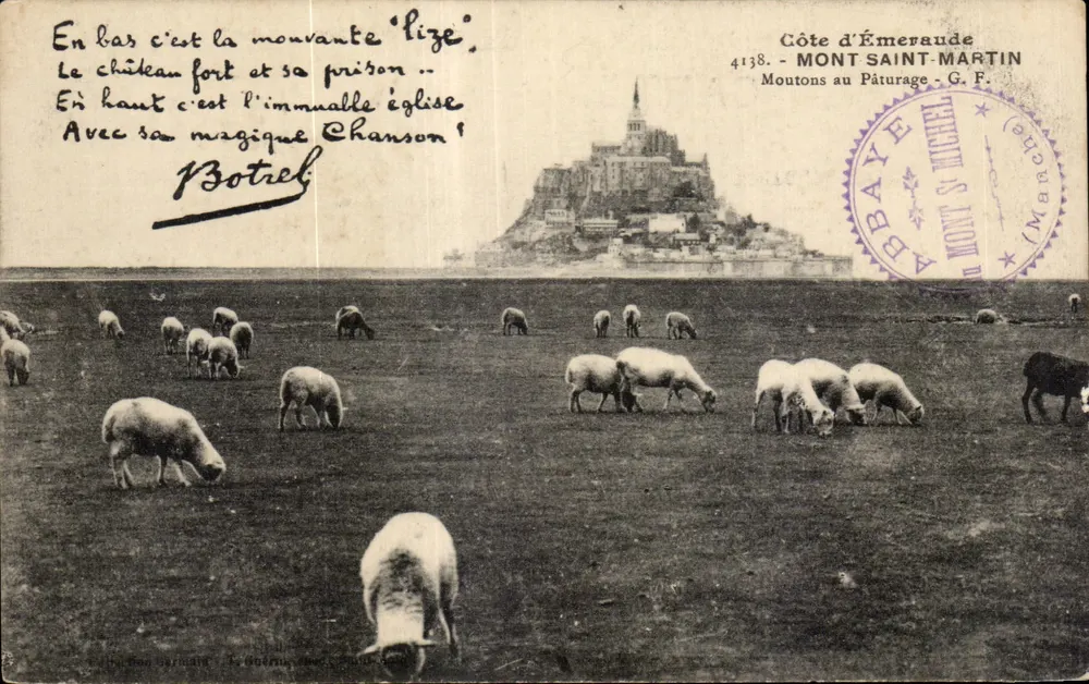 Mont Saint-Michel — Schafe auf der Weide — G.F. - Côte d'Émeraude - Vorderseite